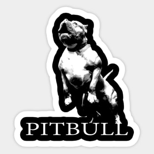 american pitbull Sticker